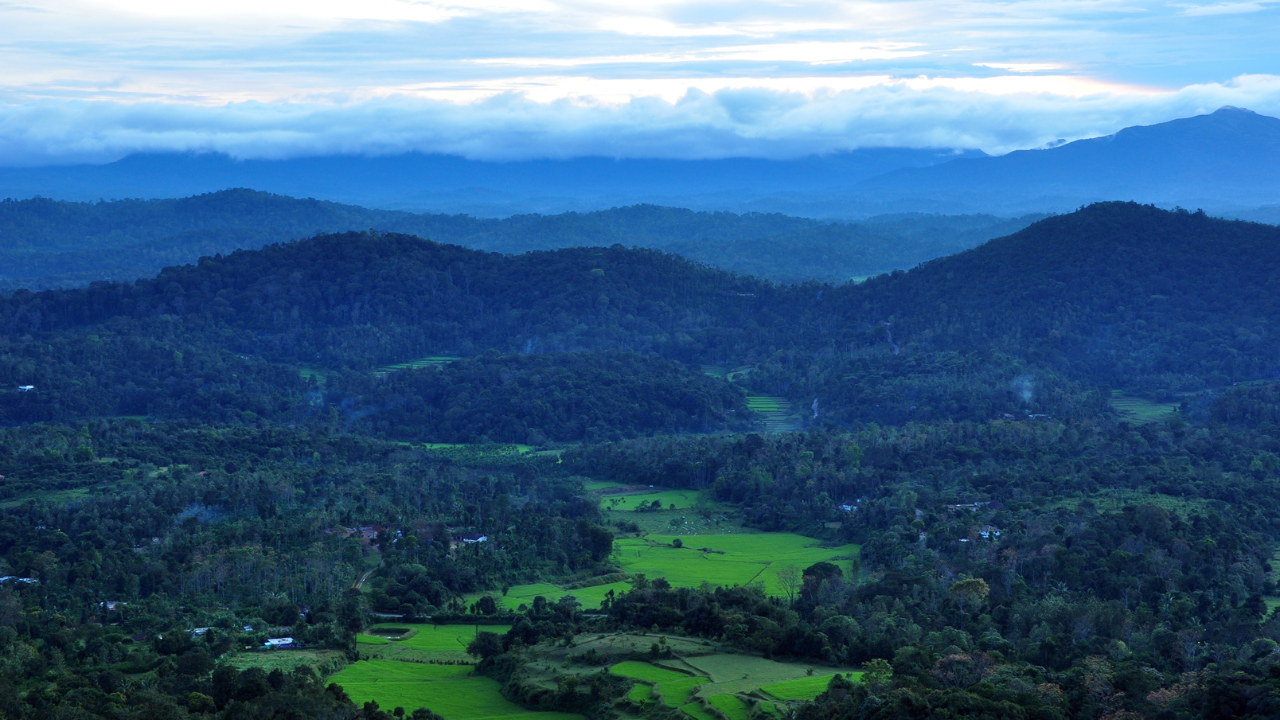 Coorg
