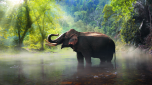 Featured Destinations