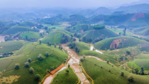 Featured Destinations